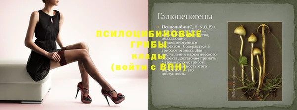 прущий лед Сясьстрой