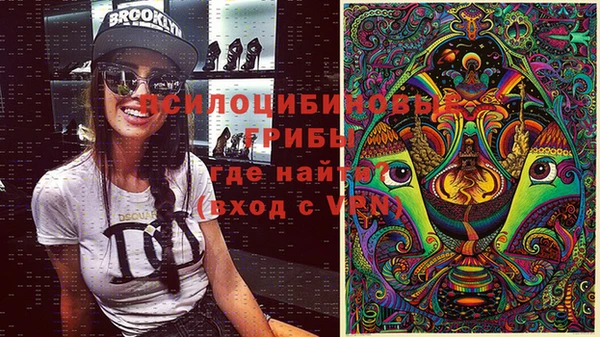 спайс Беломорск
